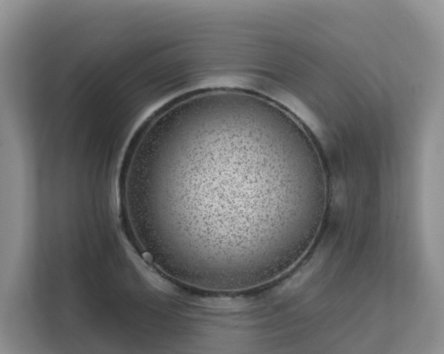 X0000111640980200907241107