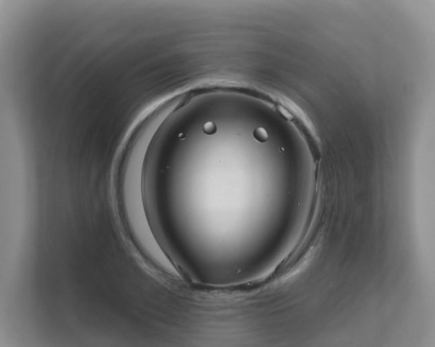 X0000111640981200907241107