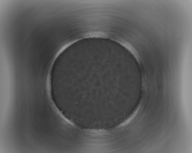 X0000111640983200907241107