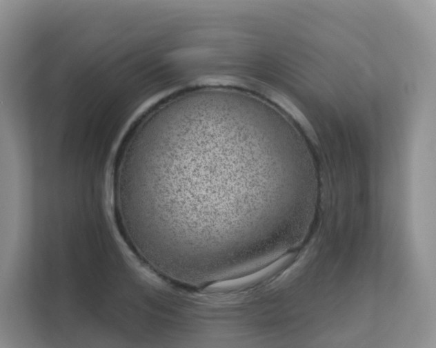 X0000111640984200907241107