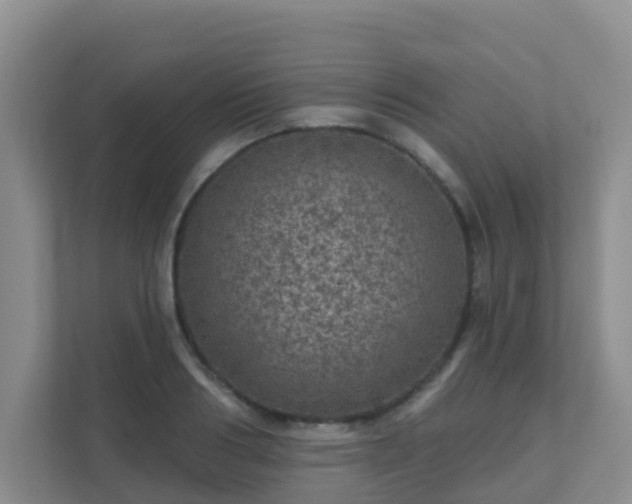 X0000111640986200907241107