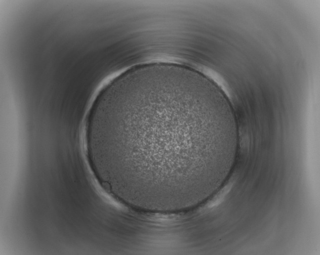 X0000111640987200907241107