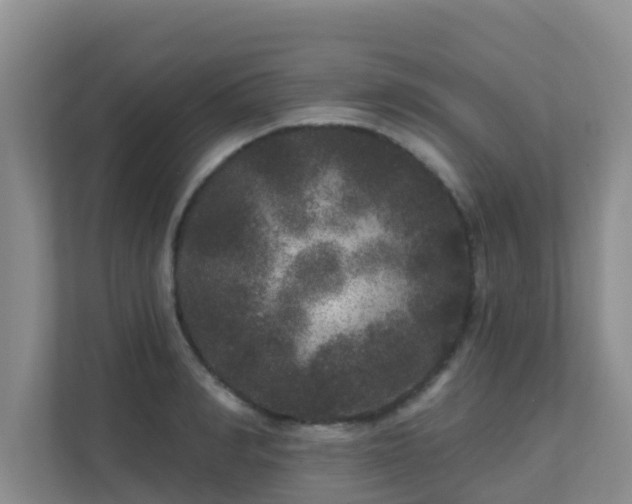 X0000111640990200907241107