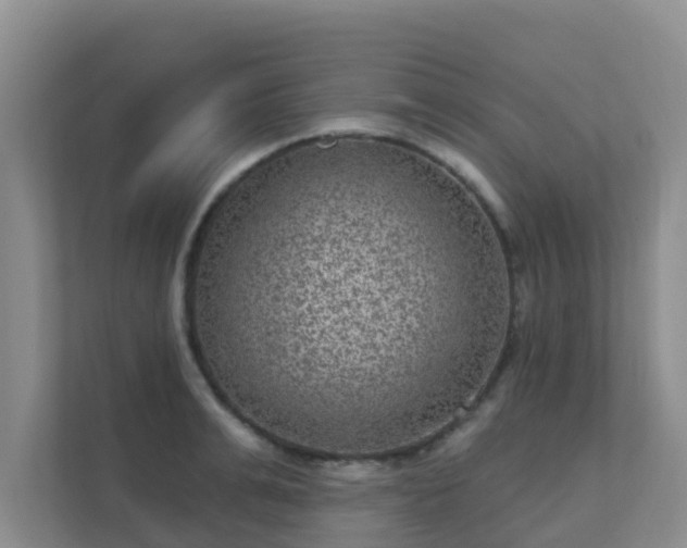 X0000111640991200907241107