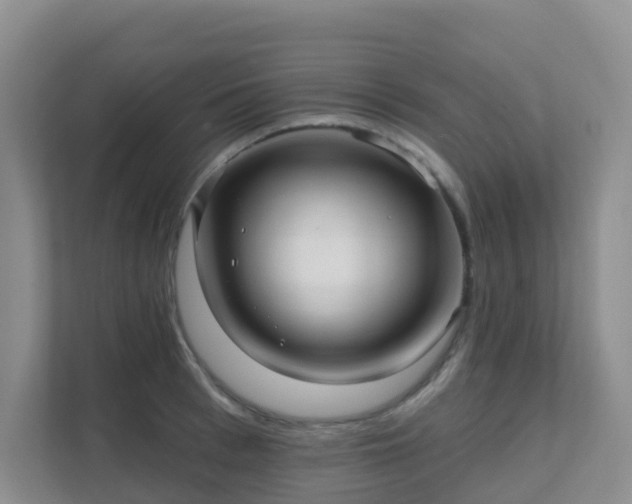 X0000111640993200907241107