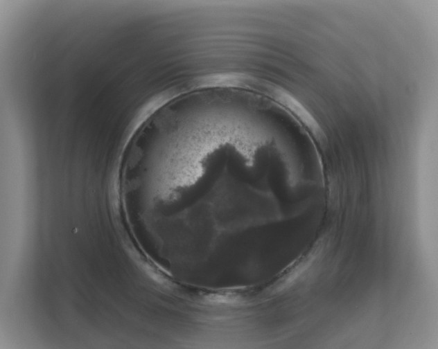 X0000111640994200907241107