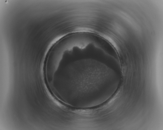 X0000111640995200907241107