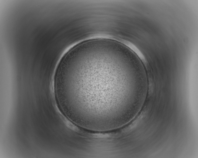 X0000111640996200907241107