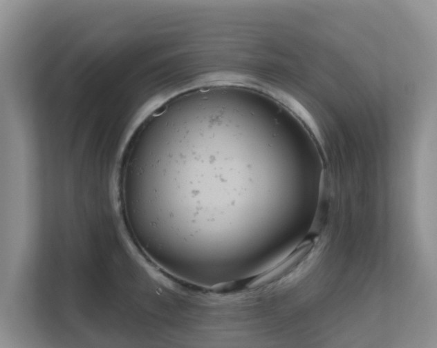 X0000111640997200907241107