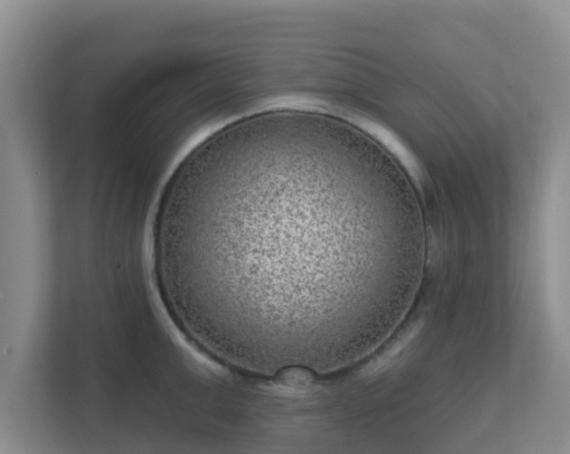 X0000111640999200907241107