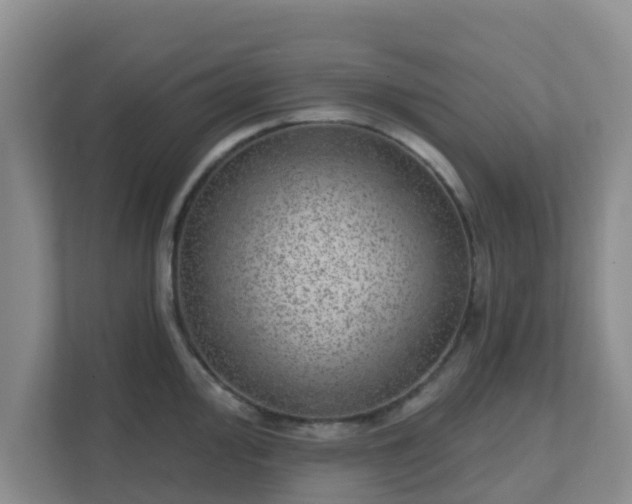 X0000111641000200907241107