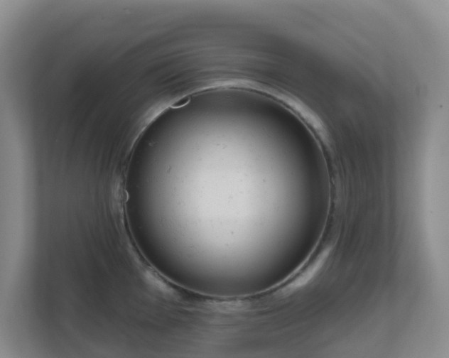 X0000111641001200907241107