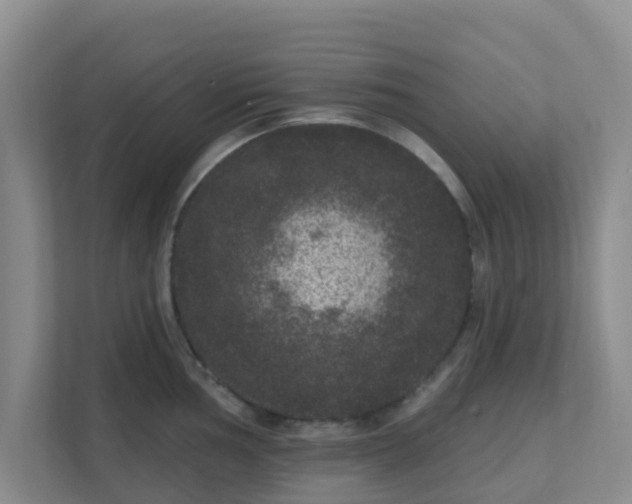 X0000111641002200907241107