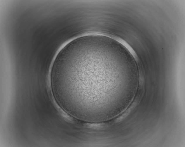 X0000111641004200907241107