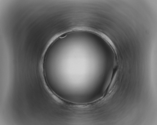 X0000111641005200907241107