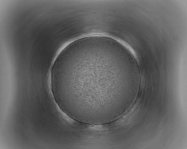 X0000111641006200907241107