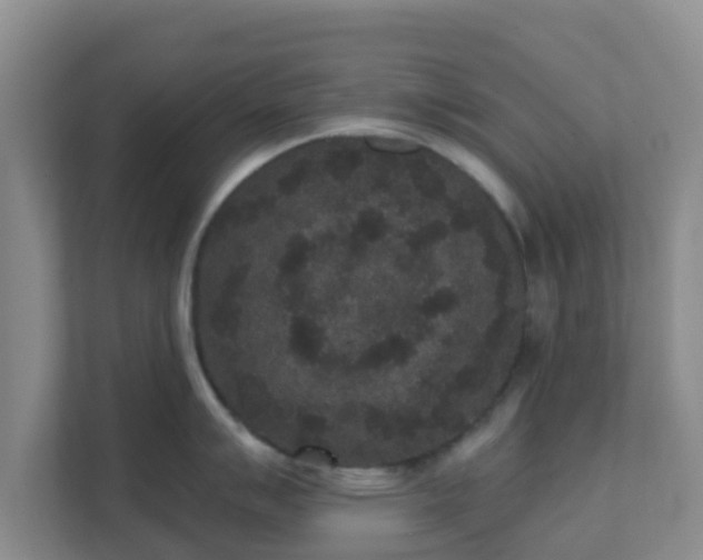 X0000111641007200907241107