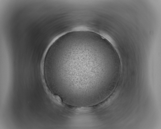 X0000111641008200907241107