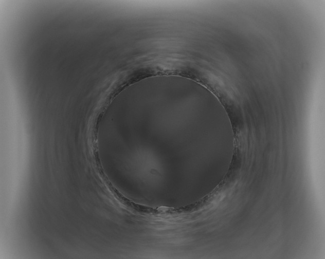 X0000111641009200907241106