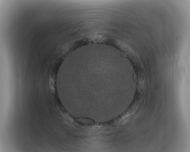 X0000111641010200907241106