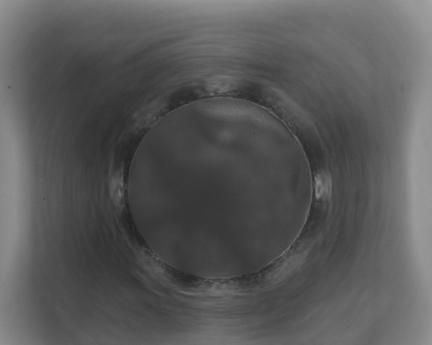 X0000111641011200907241106