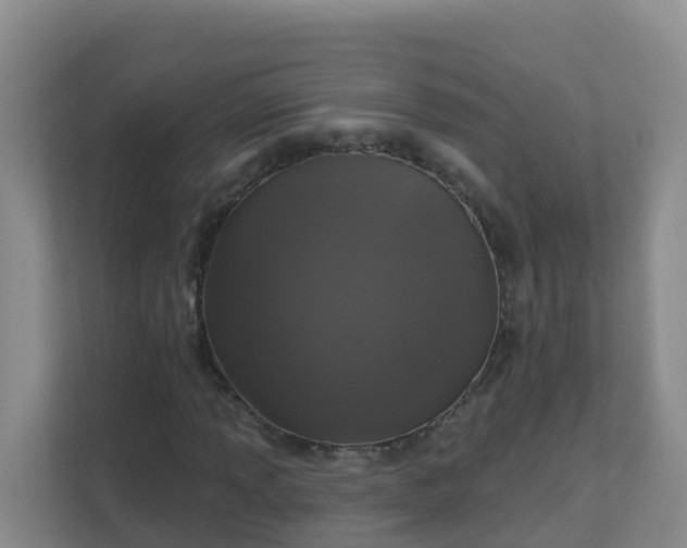 X0000111641013200907241106