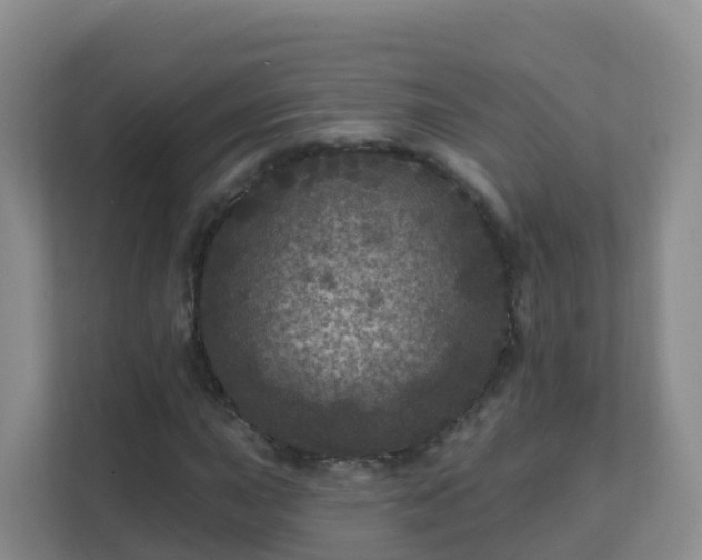 X0000111641015200907241106