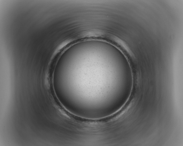 X0000111641018200907241106