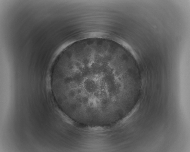 X0000111641019200907241106