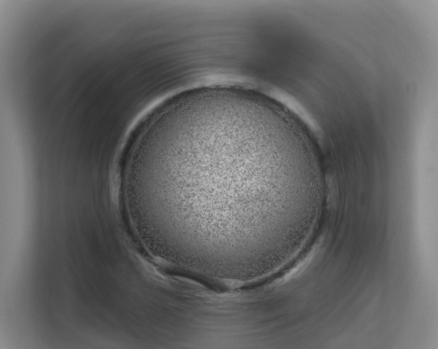 X0000111641021200907241106