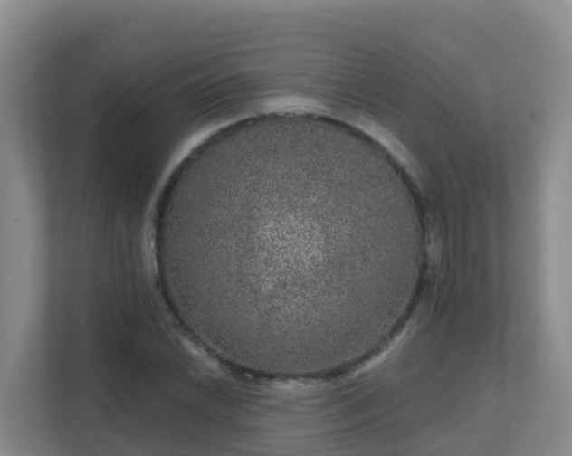 X0000111641022200907241106