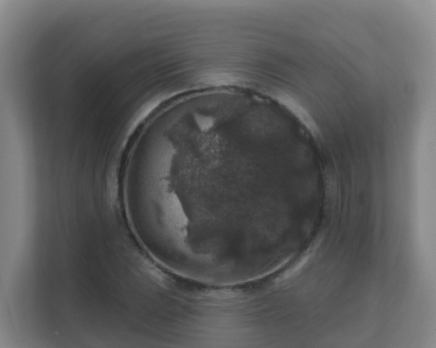 X0000111641023200907241106