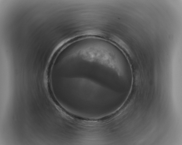 X0000111641024200907241106