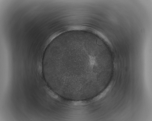 X0000111641025200907241107