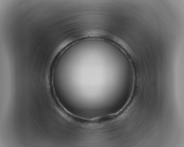 X0000111641026200907241107