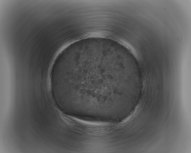 X0000111641027200907241107