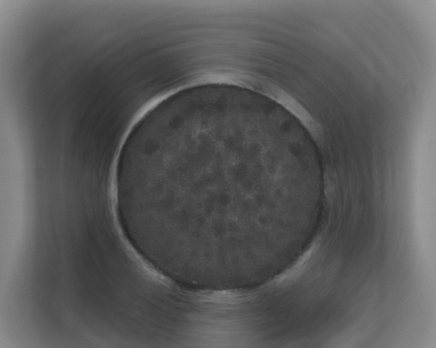 X0000111641028200907241107