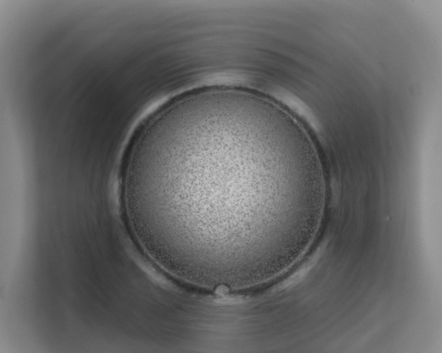 X0000111641029200907241107