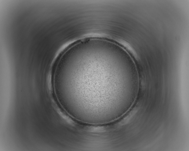 X0000111641030200907241107