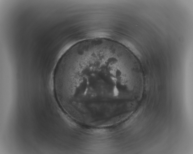 X0000111641031200907241107