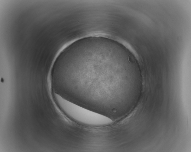 X0000111641032200907241107