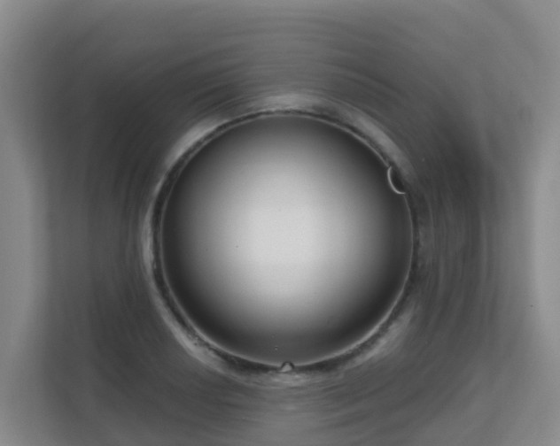 X0000111641034200907241107