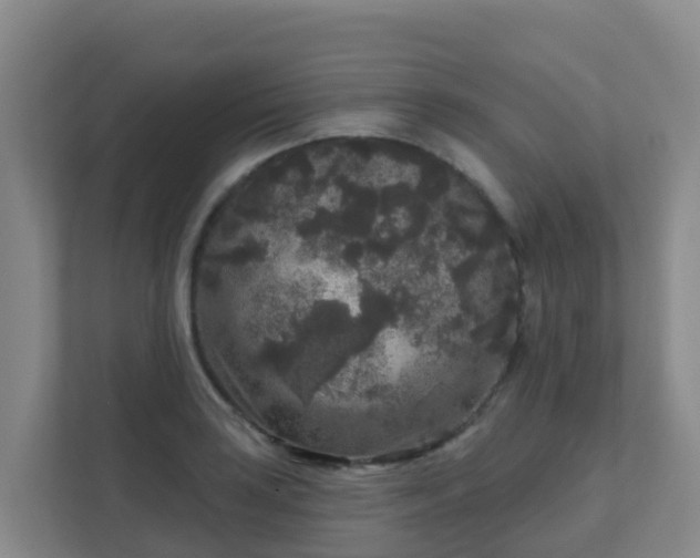 X0000111641035200907241107