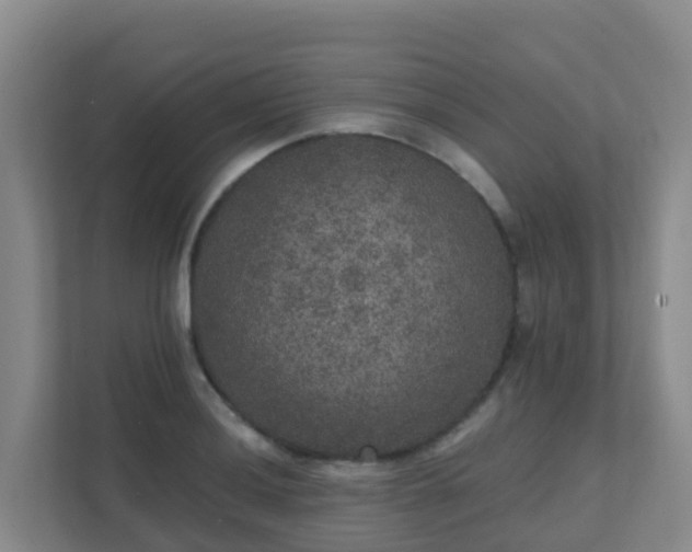 X0000111641036200907241107