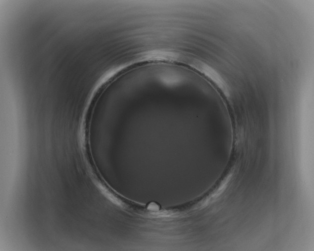 X0000111641037200907241107