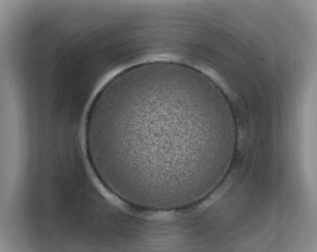 X0000111641038200907241107