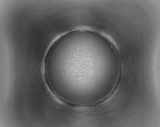 X0000111641040200907241107