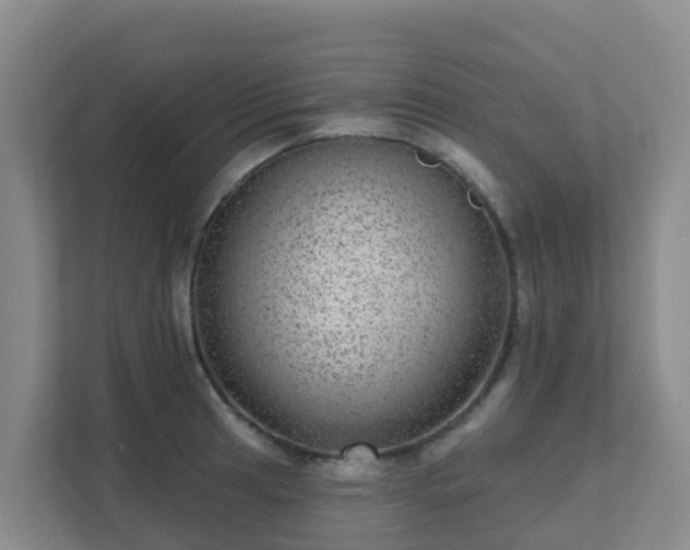 X0000111641041200907241107