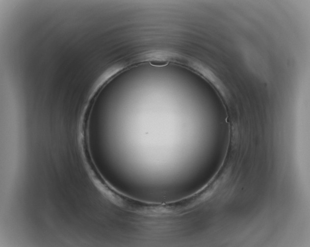 X0000111641042200907241107