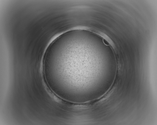 X0000111641044200907241107